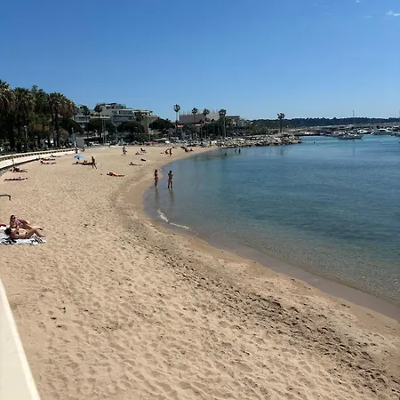 Apartment Loft Croisette Quartier Palm *